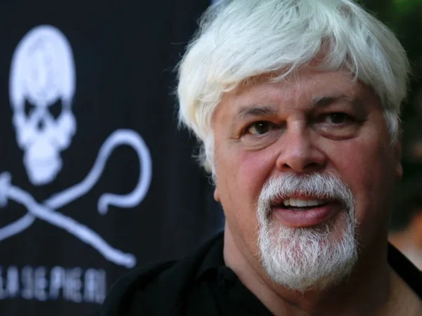 Aktivis veteran anti-perburuan paus Paul Watson bisa diekstradisi ke Jepang